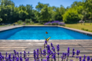 4-Bedroom House in Garica with Private Pool