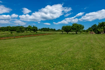 House with Private Pool in Žminj for Up to 8