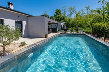 Ground-Floor House with Pool in Nedešćina