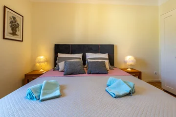 Ground-Floor Villa in Nedešćina with Private Pool