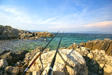 Apartment in Pazin with Private Garden