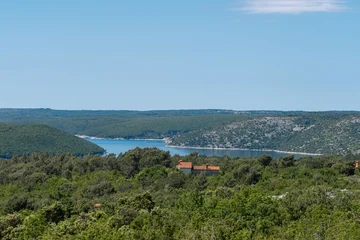 Infinity Pool Villa for 8 in Sveti Lovreč Labinski