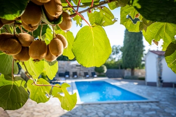 4-Bedroom Villa in Svetvinčenat for 8 Guests