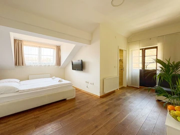 Spacious 4-Bedroom Apartment in Zagreb for Groups