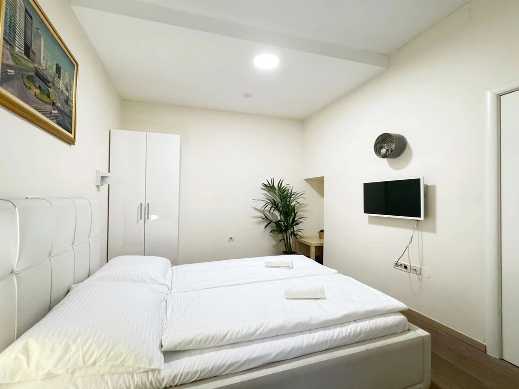 Spacious 4-Bedroom Apartment in Zagreb for Groups
