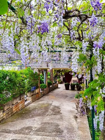 Room for 2 near the Beach in Umag, Bašanija