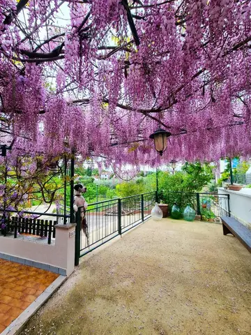 Room for 2 near the Beach in Umag, Bašanija