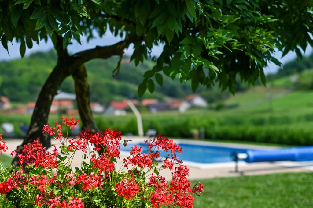 Holiday House with Heated Pool for 6 in Sveti Križ Začretje