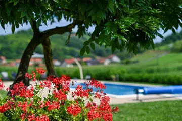 Holiday House with Heated Pool for 6 in Sveti Križ Začretje