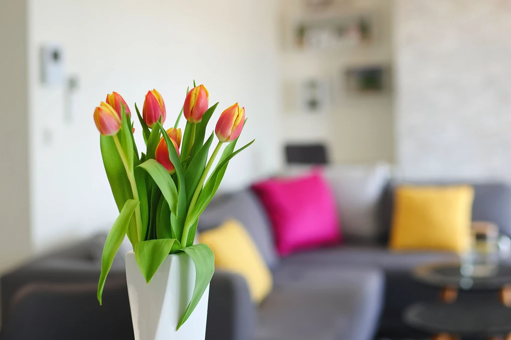Zadar – Luksuzni apartman br. 2 – s terasom