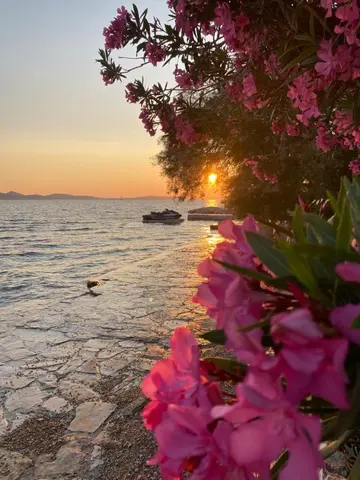 Mobile Home in Sv. Petar na Moru for 4 Guests