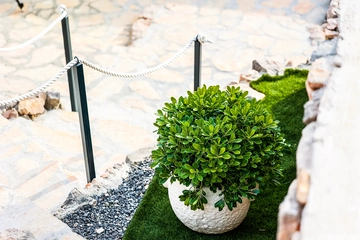 Stone Villa with Pool and Sea Views in Prizna