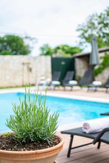 Svetvinčenat Villa for 10 Guests with 5 Bedrooms