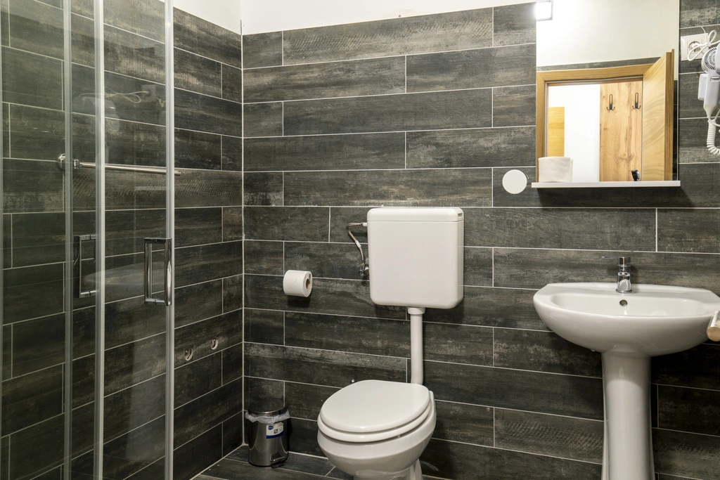 Room in Petrovlja for 2 Guests