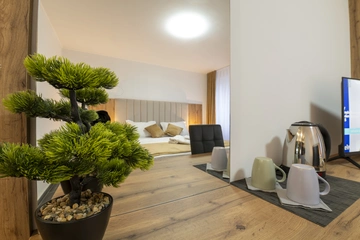 Room in Petrovlja for 2 Guests