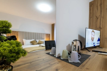 Room in Petrovlja for 2 Guests