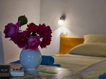 Studio Apartment with Balcony in Rovinj