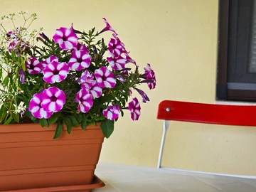 Studio Apartment with Balcony in Rovinj