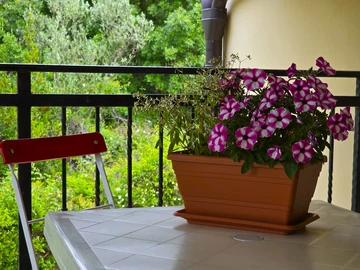 Studio Apartment with Balcony in Rovinj