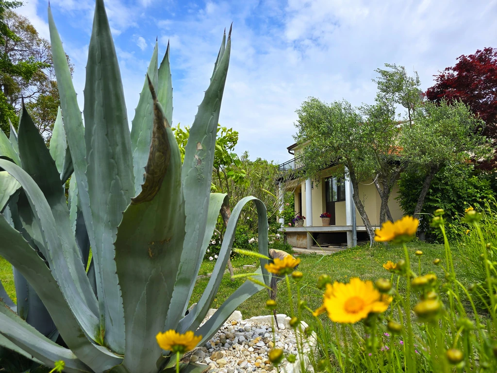 Studio Apartment with Balcony in Rovinj
