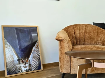 Rovinj Villa with Private Pool for 6 Guests