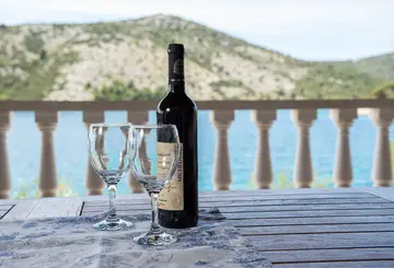 Modern Seaside Villa with Spacious Garden in Marina