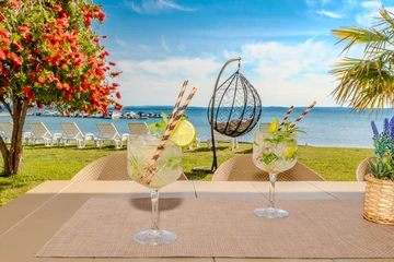 Seafront Apartment in Privlaka for 6–8 Guests