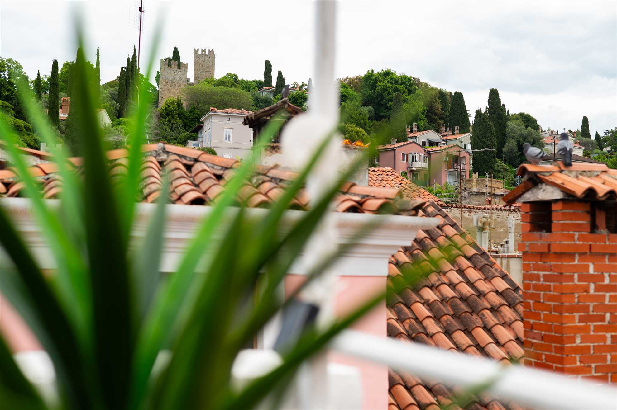 One Bedroom Apartment with rooftop terrace Altana